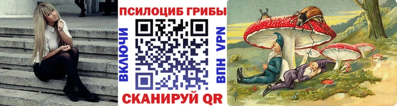 где купить наркотик  Новоаннинский  Галлюциногенные грибы GOLDEN TEACHER 